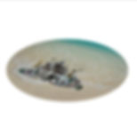 TMP Decorative Glass Cutting Board 12 inches
