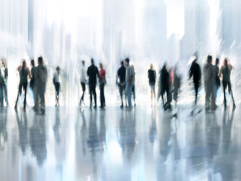 The (Not So) Secret Sauce of Successful Organisations