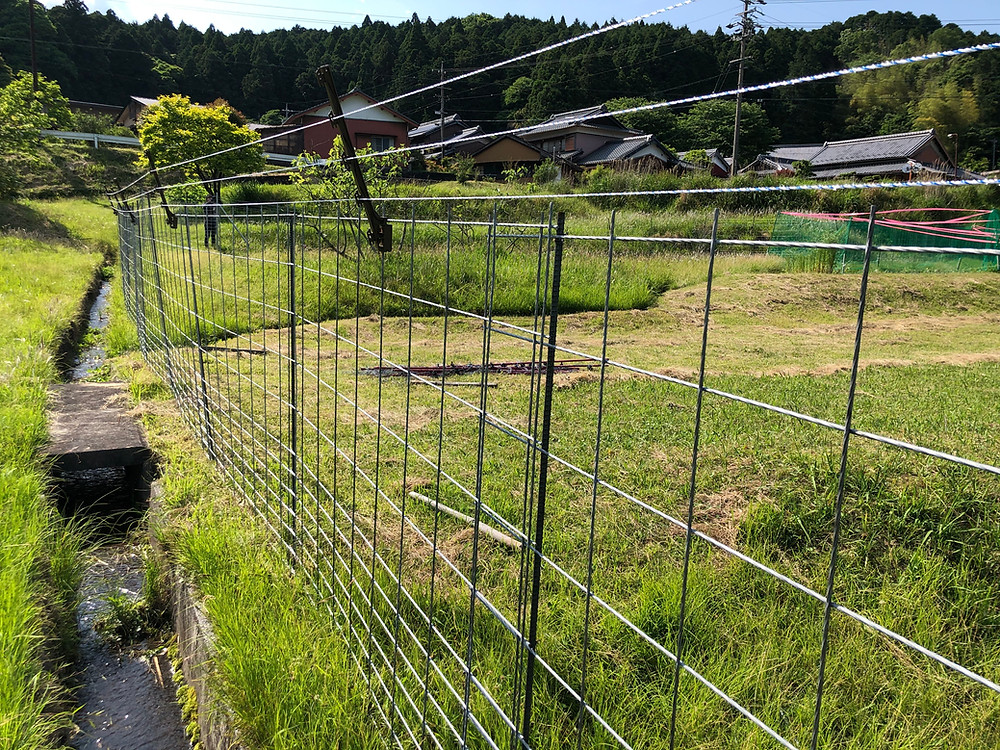 ワイヤーメッシュと電気柵の施工