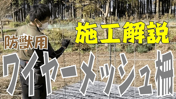 maxresdefault (1).jpg