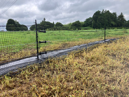 フェンスネット&電気柵の複合柵(三重県鈴鹿市)