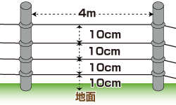 電柵_アナグマ・イタチ・タヌキ.gif