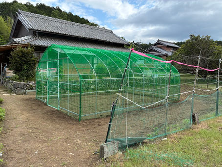 ビニールハウスの骨組みを使ったサルよけハウス施工！（三重県嬉野町）
