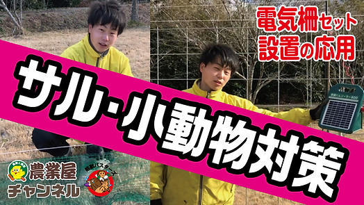 サムネ用2.png