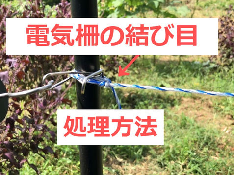 電気柵メーカー直伝!電気柵の結び目から火花が飛んでしまう時の対処法