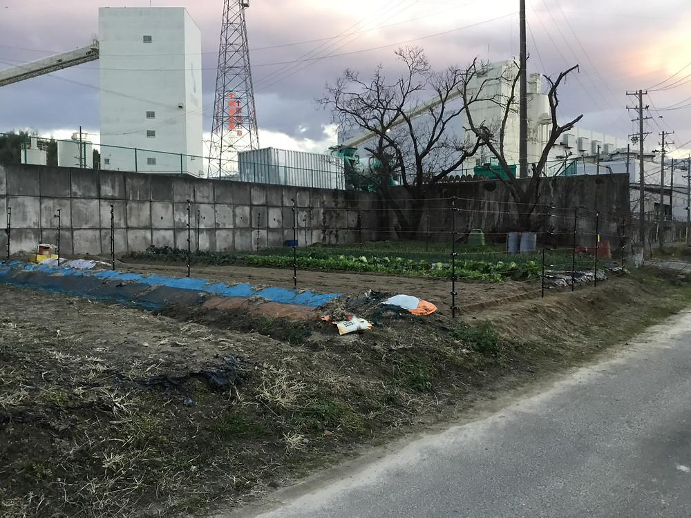 サル対策で電気柵を施工しました。