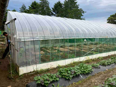 ビニールハウスのビニール張り替え・内張りの骨組施工