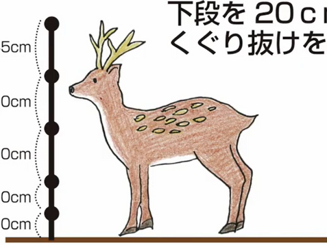 必見！防獣の基本的な対策手段（電気柵）！