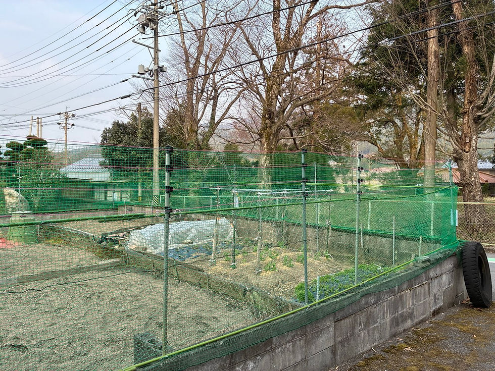 対サル用電気柵設置(岐阜県垂井町)