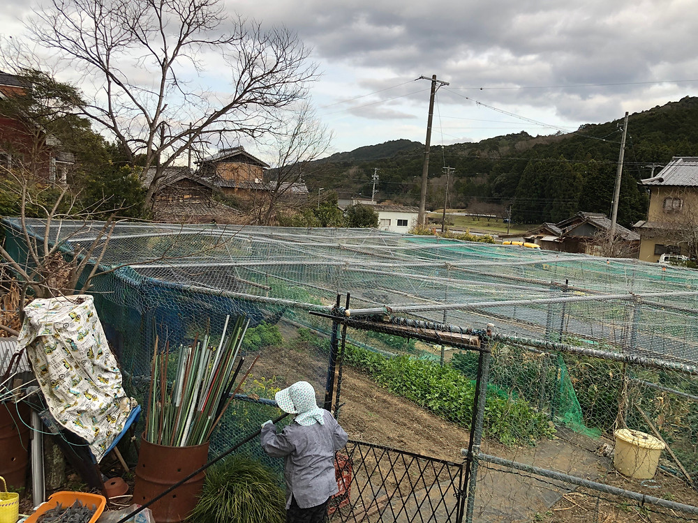 金網の張り替え