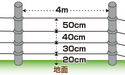 電柵_シカ.gif