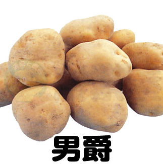 バレイショ_男爵.jpg