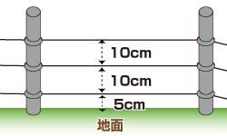 電柵_アライグマ・ハクビシン.gif