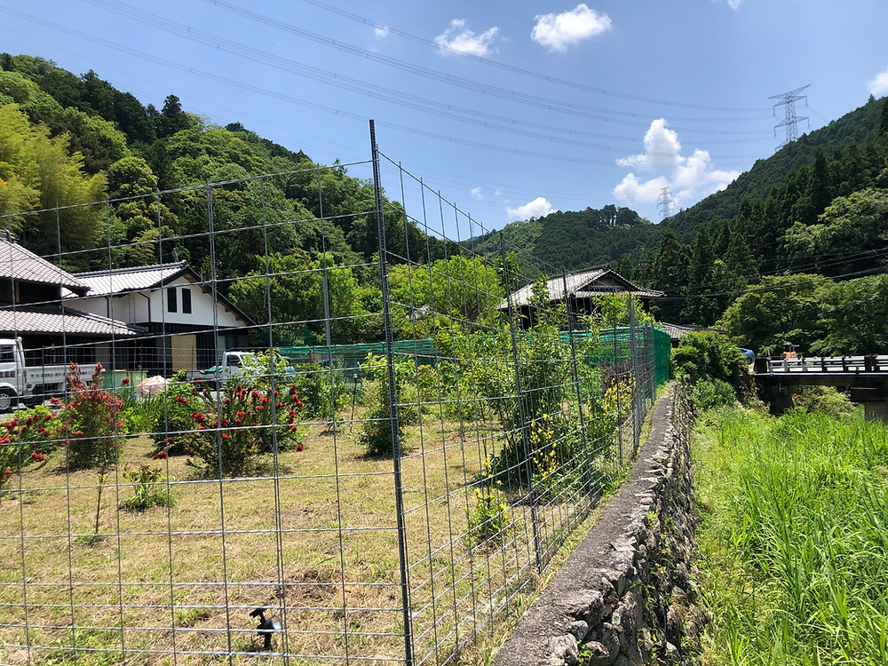 ワイヤーメッシュ柵の施工