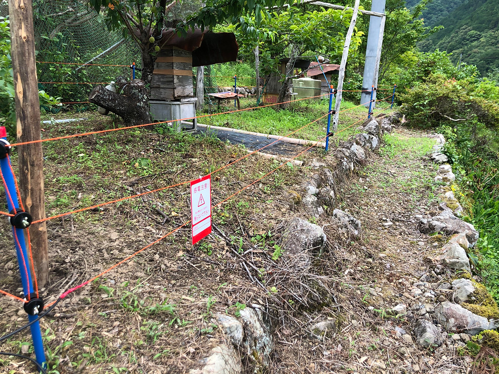 クマ対策用の電気柵の施工写真です