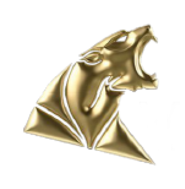 Wild Cat Resources Logo