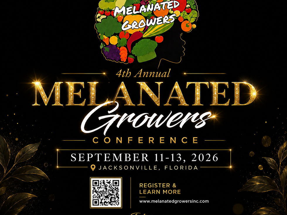All Access Conference Ticket