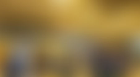 越谷市スポ少フェスティバル