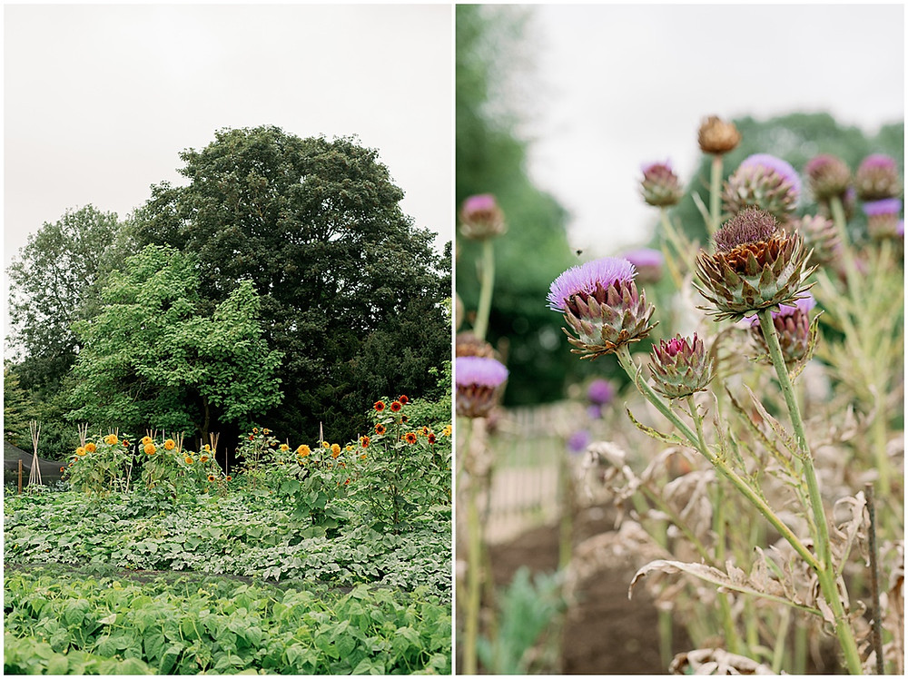 Le Manoir aux Quat'Saisons wedding by Cotswolds wedding photographer