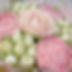 E89CB674-49D1-4925-A0BB-242DD94E574E.jpeg