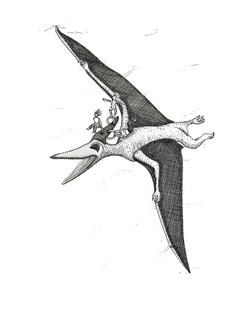8 Pterodattilo (colore)