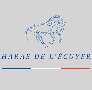 HARAS DE l4ECUYER-1.png