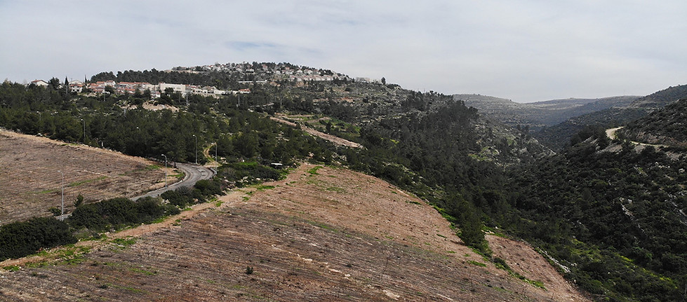 DJI_0555_edited lores.jpeg