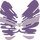 IMG-05 (1).png