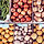 Farmers Market