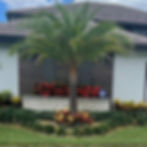 garden installation of multiple small shrubs framing area with a central palm surrounded by colorful small plants
