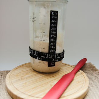 How to Create a Sourdough Starter Completely From Scratch