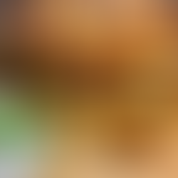 Spaghetti Squash Sourdough Waffles with Cheese