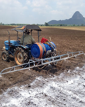 CornSpray (4).JPG