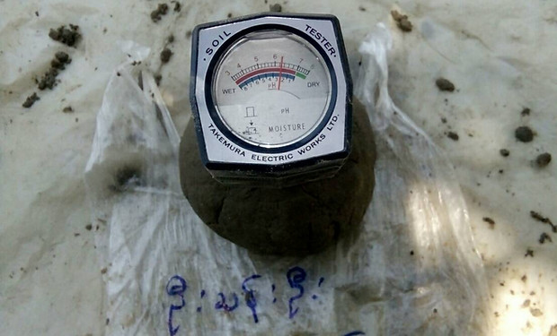 8. U Than Oo_pH5.00-6.20_(23Mar2018).jpg