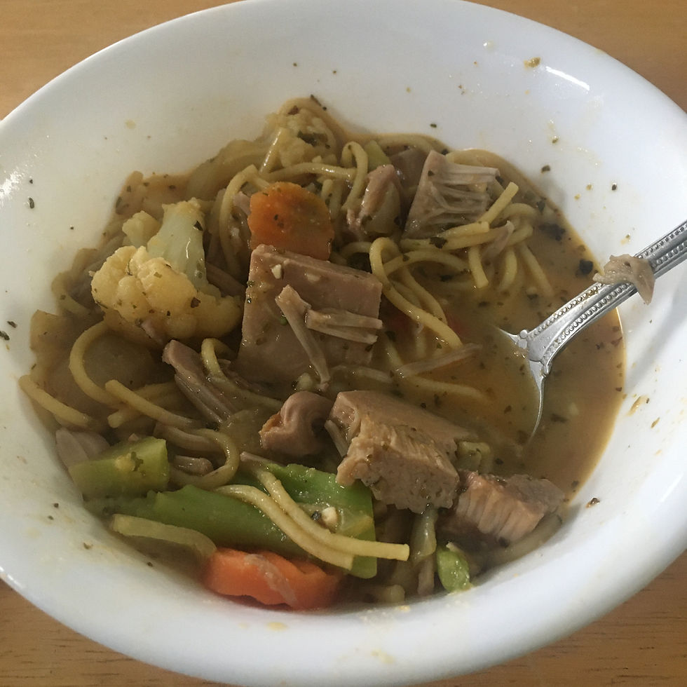 vegetarian chicken and noodle soup