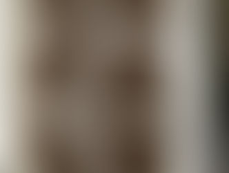 Raw Carob Icy Melts - Flooper (Food Blooper)