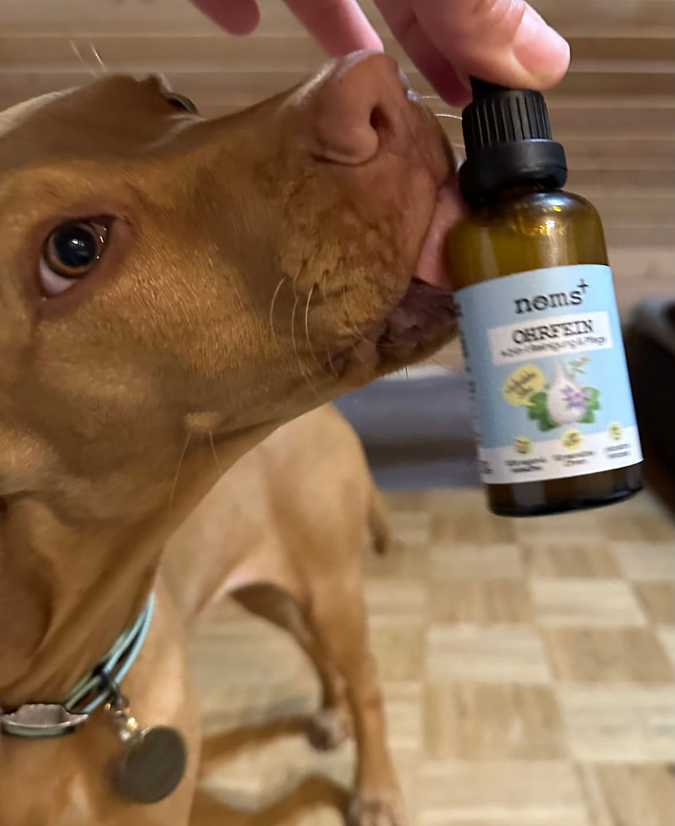 Thumbnail: Ear Cleaner & Care 2-in-1 for Dogs and Cats with Colloidal Silver