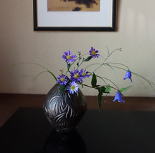 IMG_1541.JPG