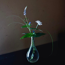 IMG_1453.jpeg