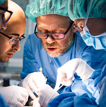 Trauma Academy Courses14.jpg