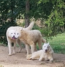 3Amigos.jpg