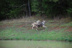 DSC_3042.JPG