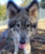20221126_105806_edited