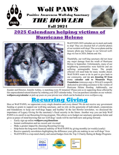 Wolf-dog Sponsorship for one year