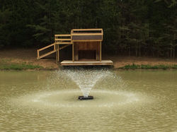 Fountain in main enclosure