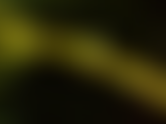 Pflanzengesundheit: Krankheiten und Schädlinge natürlich bekämpfen