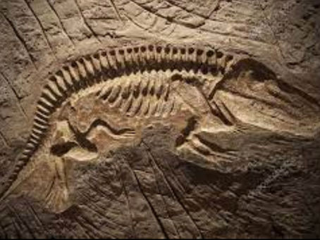 The Next Mass Extinction?