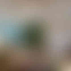 2022-01-25_13-30-37_602.jpeg