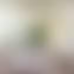 811762753_square_l.avif
