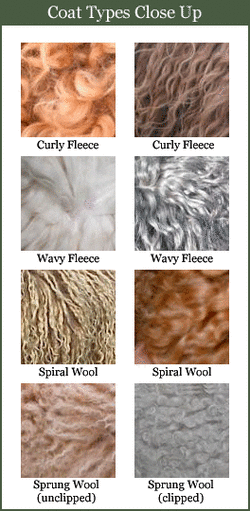 Hair types 2.gif